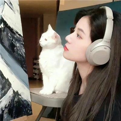 乡村无敌小医仙